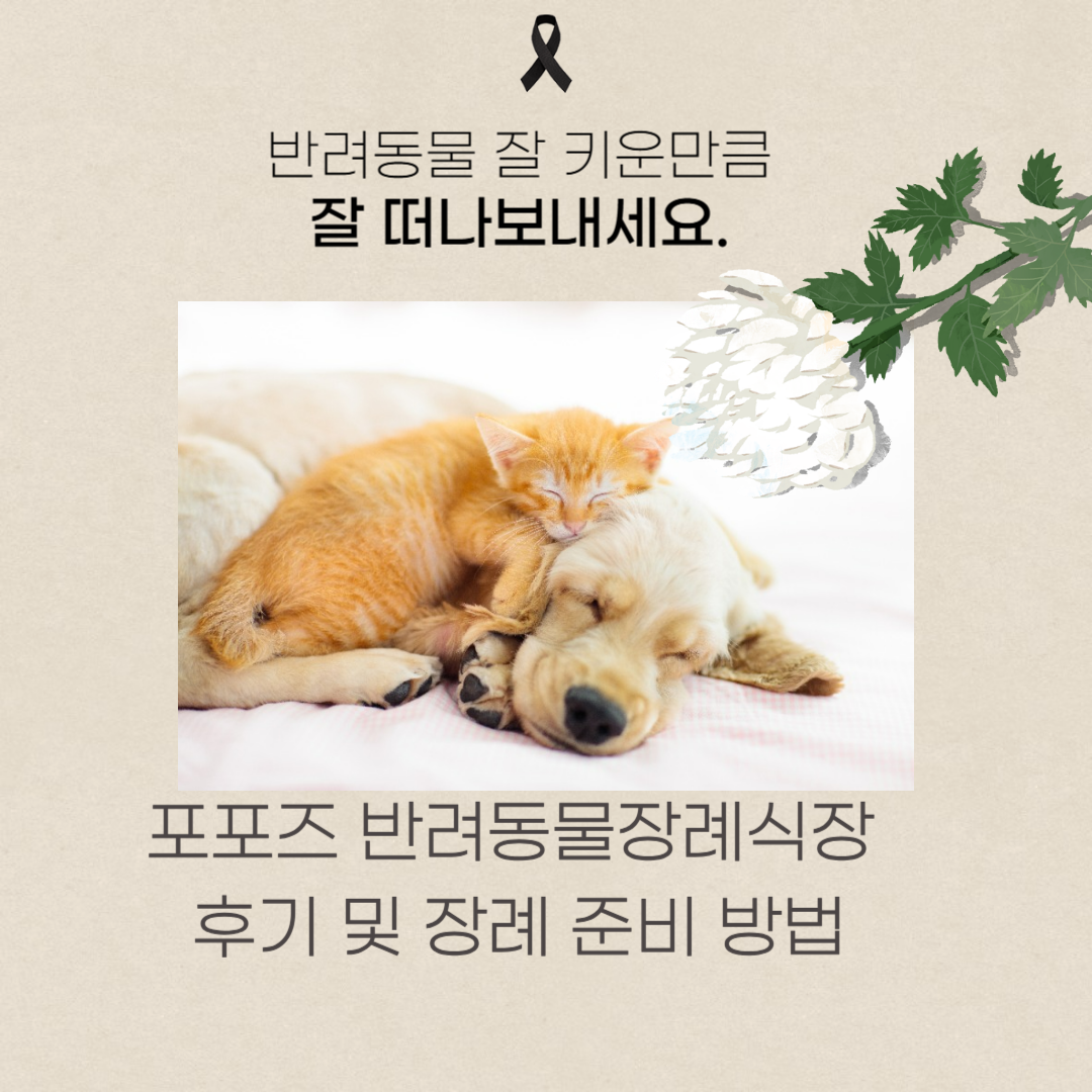 반려동물 장례식장