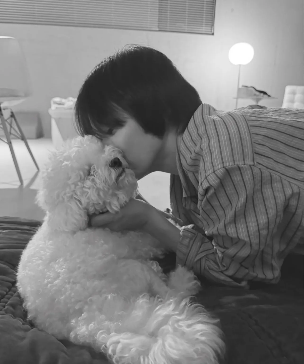 광복절80주년, 송혜교 서경덕, 멕시코독립운동, 독립운동스타, 차주영, 류승룡, 김남길, 의미있는기부, 송혜교 서경덕과 독립운동 알리기, 역사기부, 광복절프로젝트, 해외한인역사, 독립운동유산, 멕시코한인사회