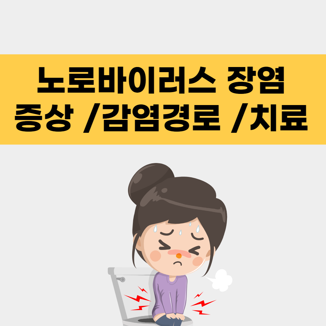 노로바이러스 장염 증상 감염경로 치료