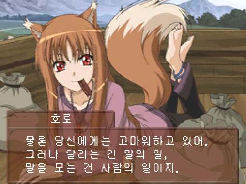 닌텐도 DS 한글판