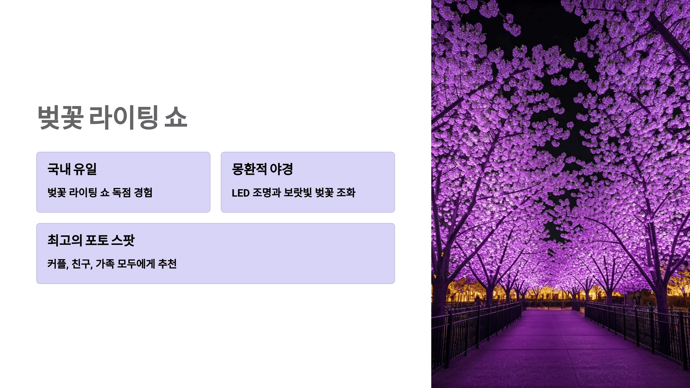 이월드 30주년 기념! 벚꽃 축제에서 만나는 특별한 봄날