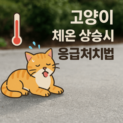 고양이 체온이 오를 때, 이렇게 대처하세요 : 열사병 응급처치법