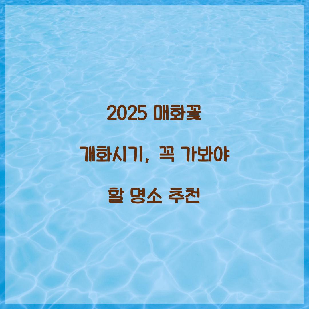 매화꽃 개화시기 2025
