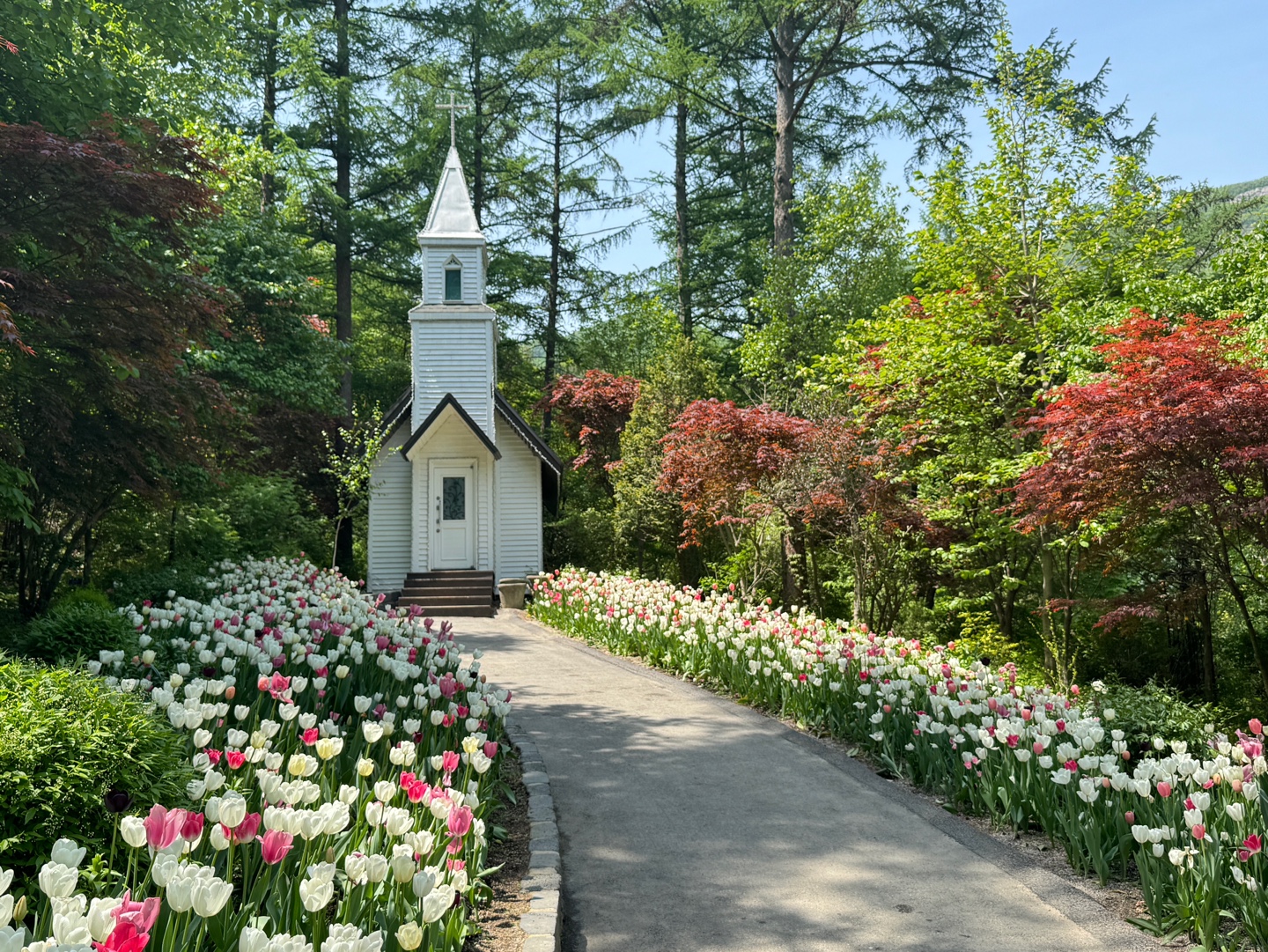 아침고요수목원