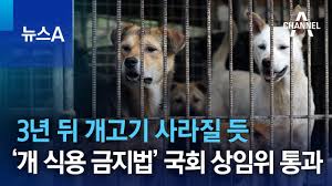 개고기 금지법 국회 통과, 식용 금지