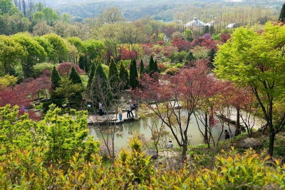 용인 한택 식물원의 푸른 정원의 모습