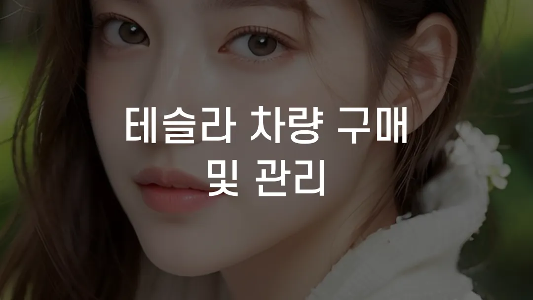 테슬라 차량 구매 및 관리