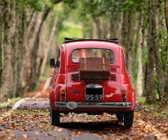 음주운전 처벌기준 음주운전 벌금