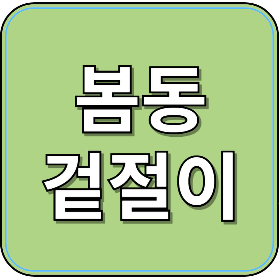 봄동겉절이 만드는 법 & 효능 완벽 정리
