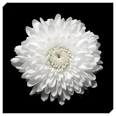 장례식장 절하는 방법 예절 복장5