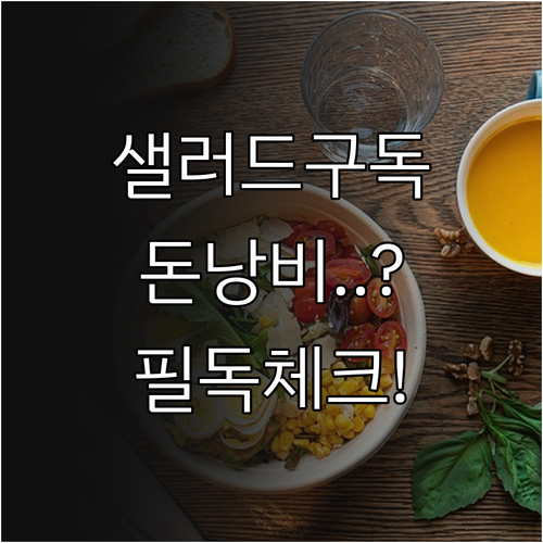 샐러드 구독 전 체크리스트 및 실질 ..