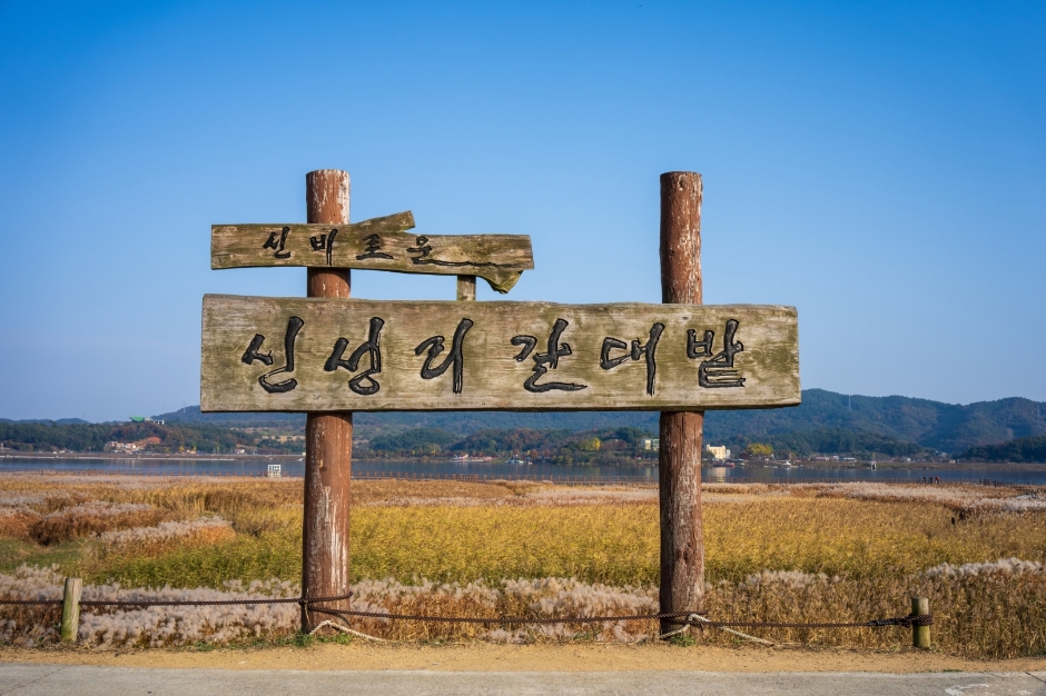 가을 단풍 여행 지도(3) - 충청도 - 장태산&amp;#44; 대둔산&amp;#44; 신성리갈대밭&amp;#44; 보발재&amp;#44; 문광저수지&amp;#44; 말티재 추천지 6곳!!6