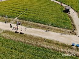 2024 구리 유채꽃 축제 기본일정과 프로그램 소개 민경훈 김나희 울랄라세션 류지광 김연자 황민우 KCM 바다 출연