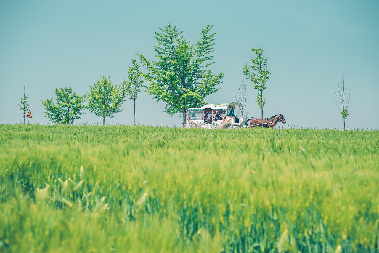 5월 국내여행지 추천