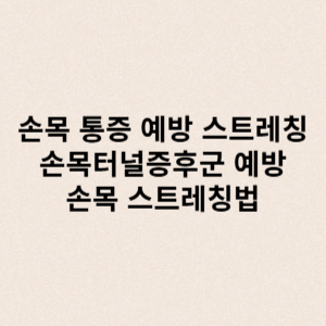 손목스트레칭법