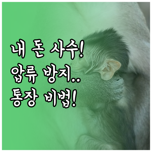개인파산 시 압류 안 되는 통장 만드..