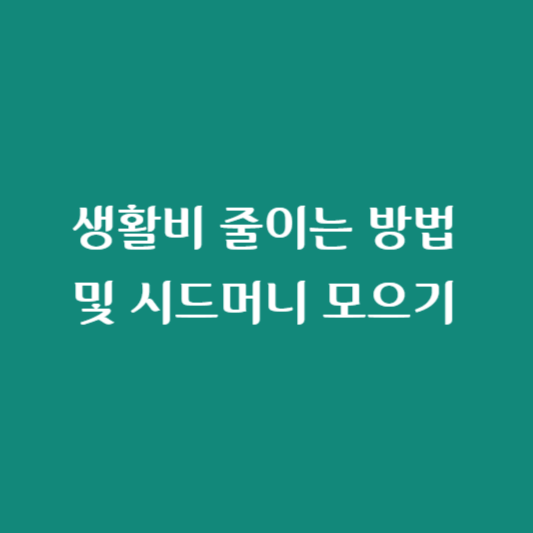생활비 줄이는 방법 및 시드머니 모으기