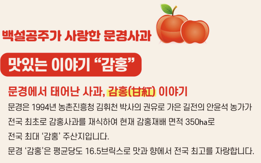 문경 감홍사과의 특별함 설명 이미지