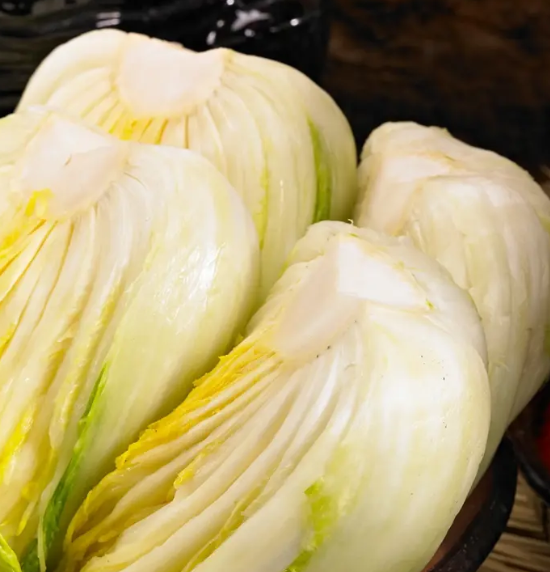 2024 절임배추 사전예약 가격비교 예약방법