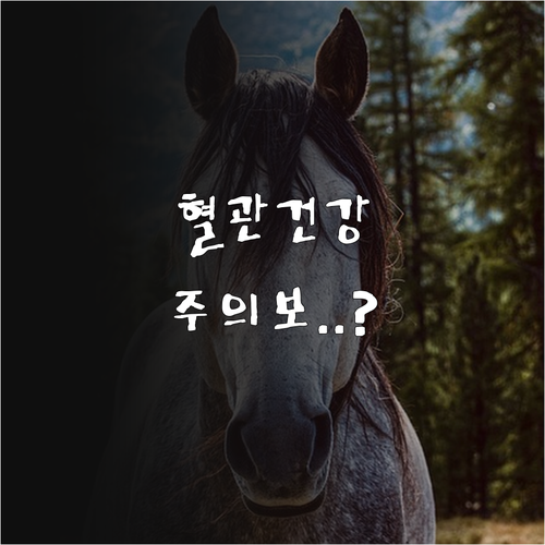 2월 임오년생 말띠 운세 평온한 일상..