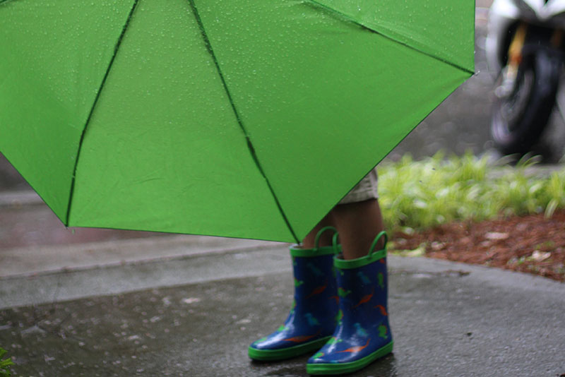 장마철 생존템 필수 리스트