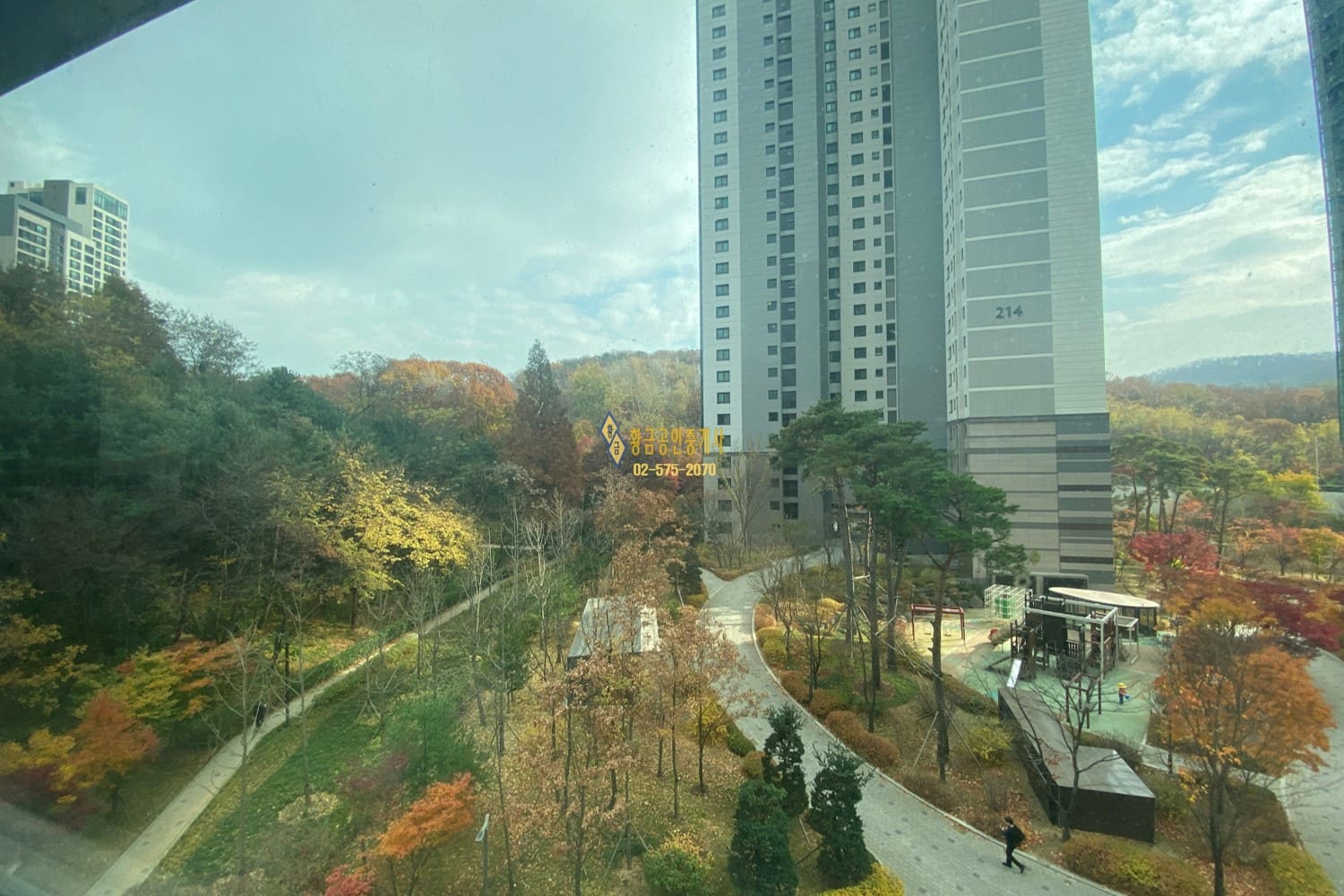 거실조망