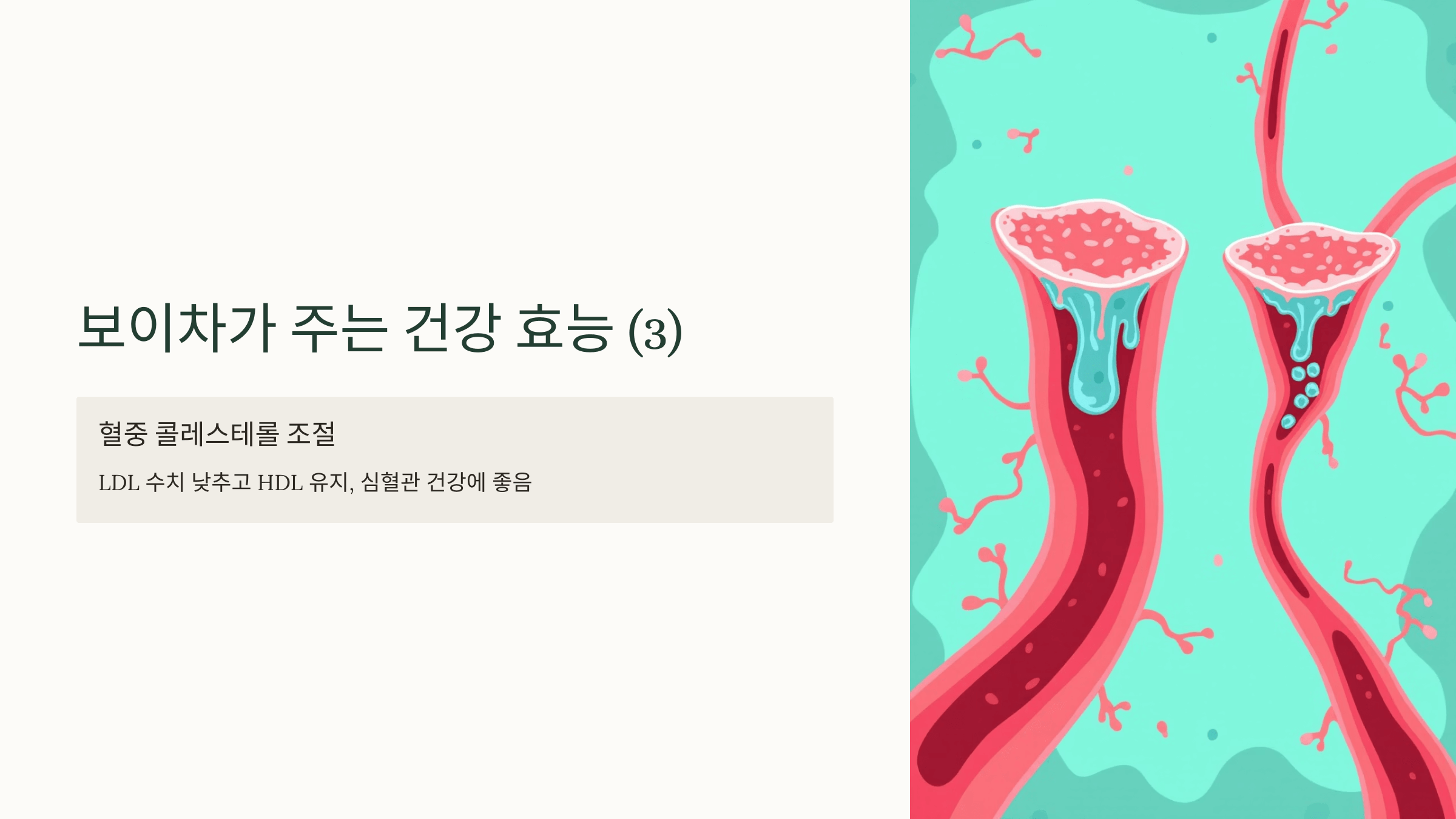 보이차 사진입니다.