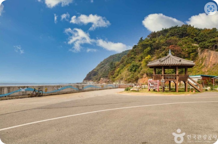 장봉도 여행 벚꽃축제