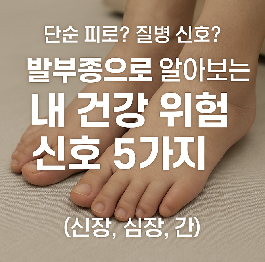 단순 피로? 질병 신호? 발부종으로 알아보는 내 건강 위험 신호 5가지 (신장, 심장, 간)