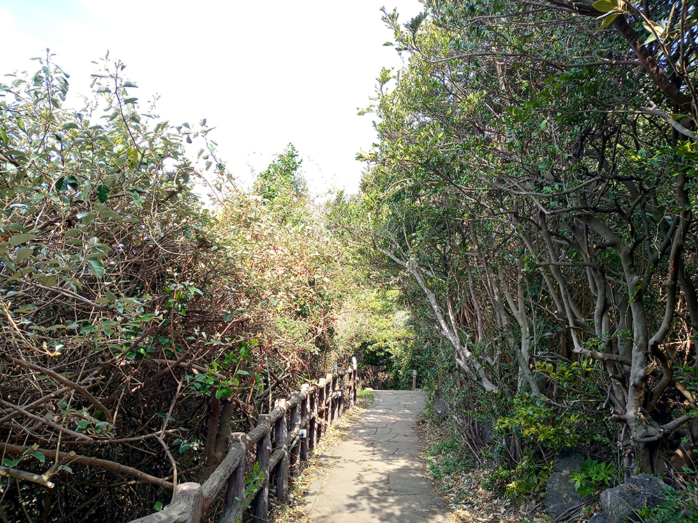 올레5코스: 큰엉산책로