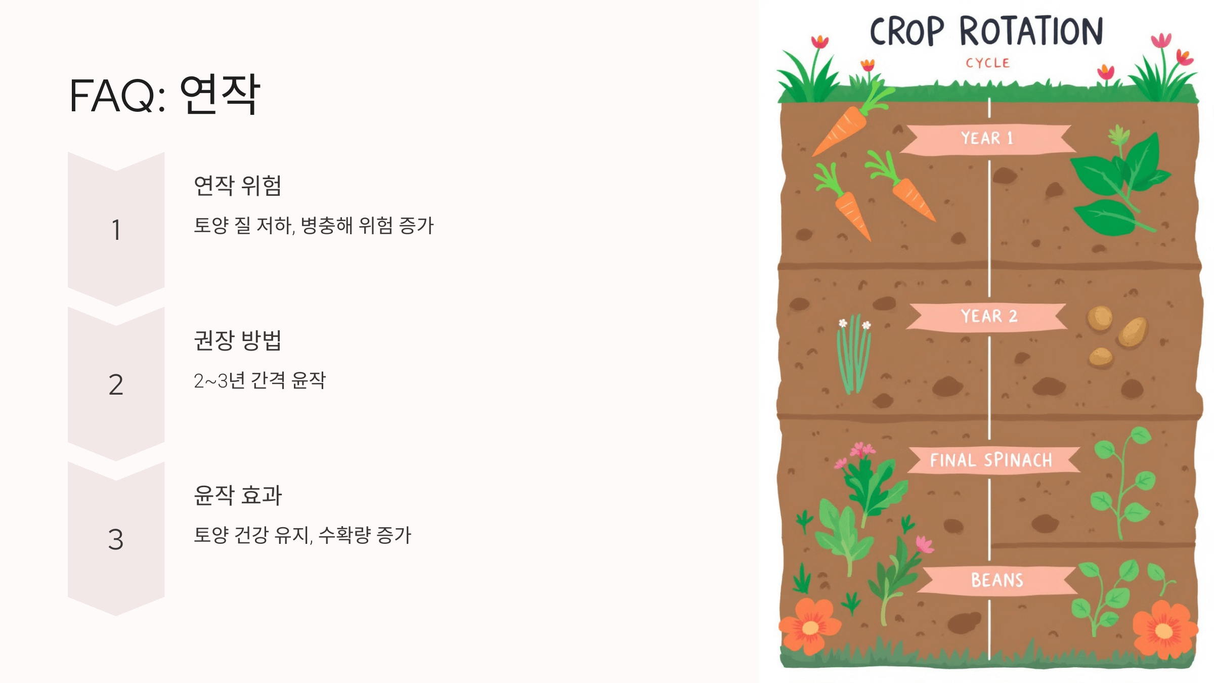 당근 사진입니다.