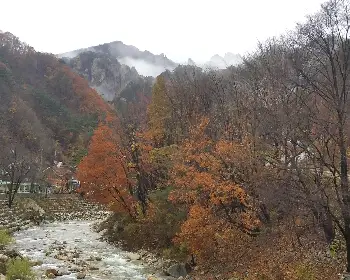 설악산 단풍, 절정 시기_22