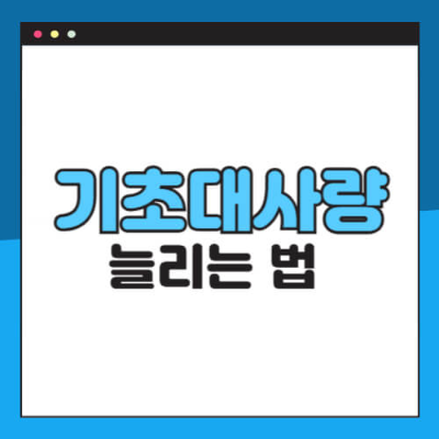 기초대사량, 기초대사량 계산, 기초대사량 높이는 법, 다이어트, 대사량 증가, 근력운동, 유산소운동, 건강관리, 신진대사, 체중감량