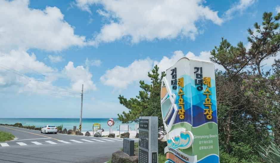 제주 반려견 겨울 나들이 명소, 강아지와 함께 걷기 좋은 산책 코스