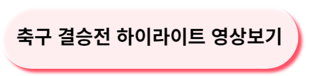 축구결승전하이라이트보기