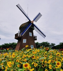 순천만 정원내 세계테마 정원 모습