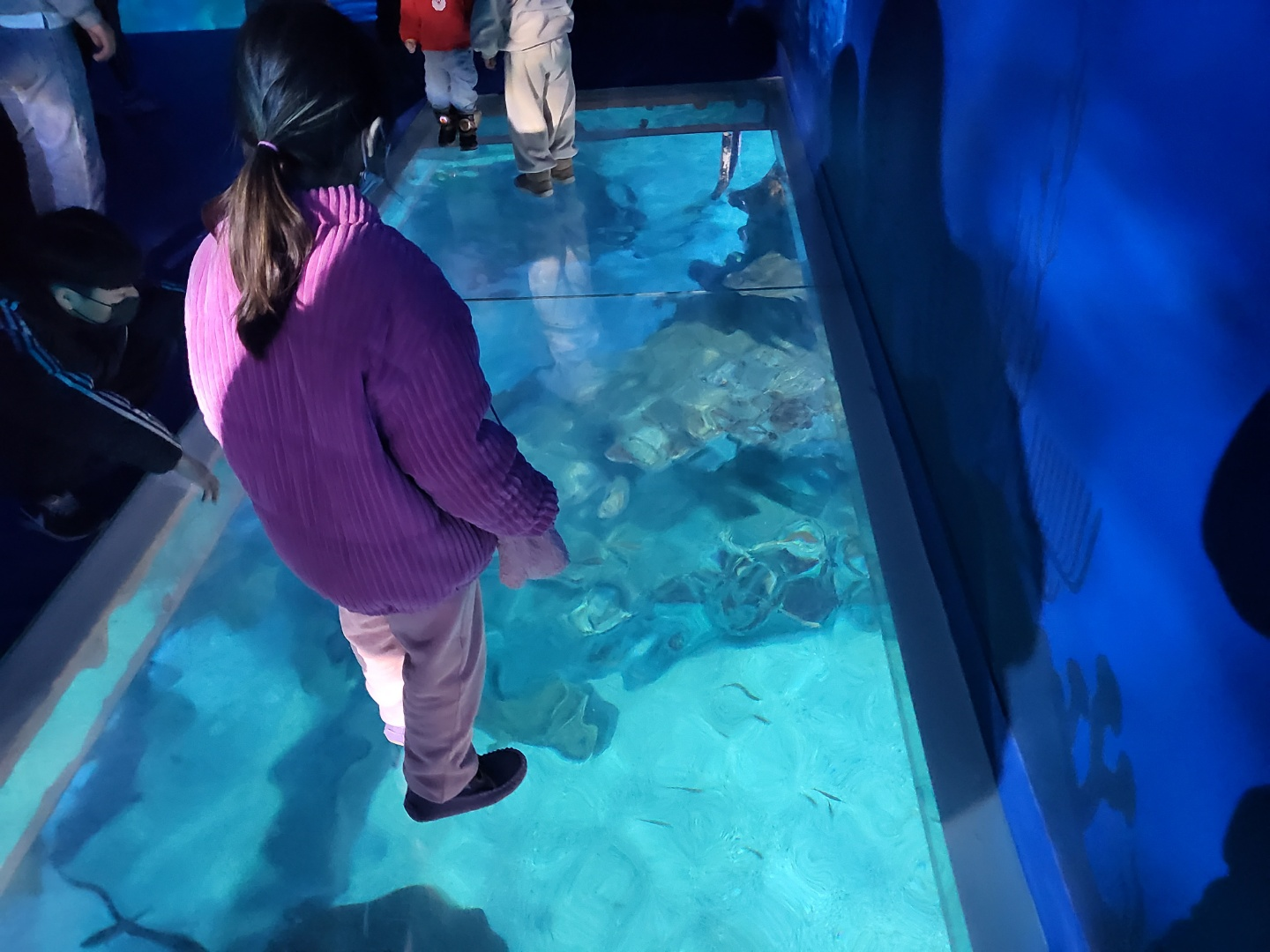 부산 아쿠아리움