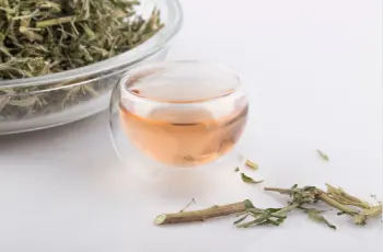 야관문 효능효과 먹는방법, 부작용