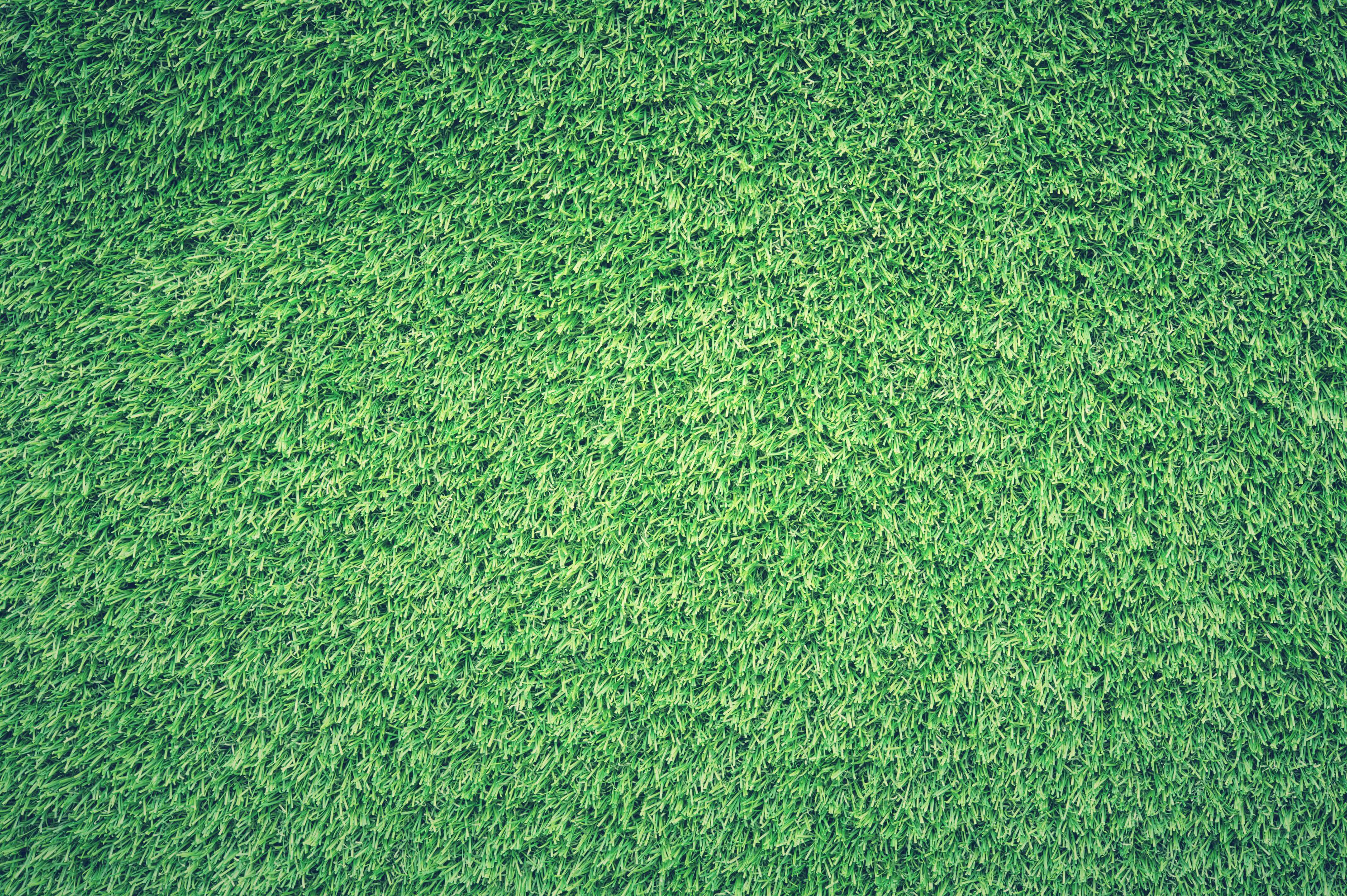 2026 삼성라이온즈 개막전&amp;#44; 관전포인트