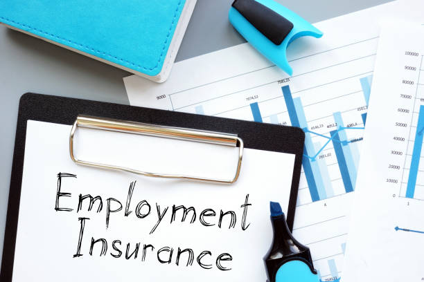 고용보험 계산기