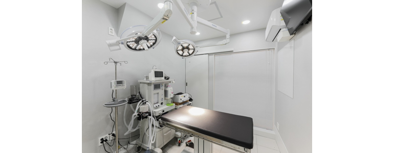 서울 노원구 동물병원