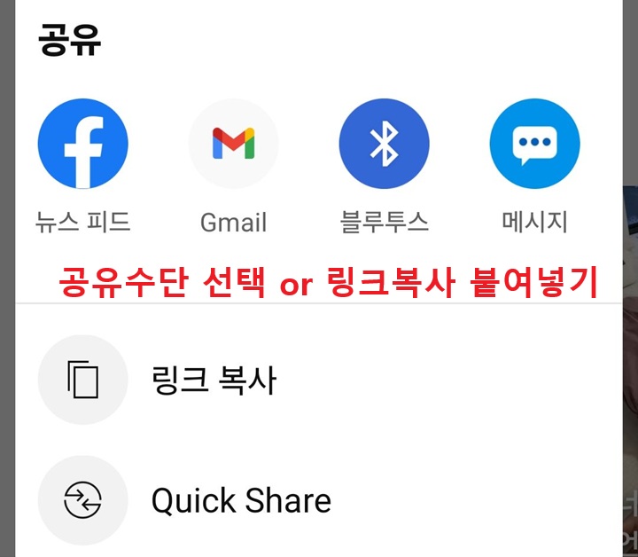 공유창 보임