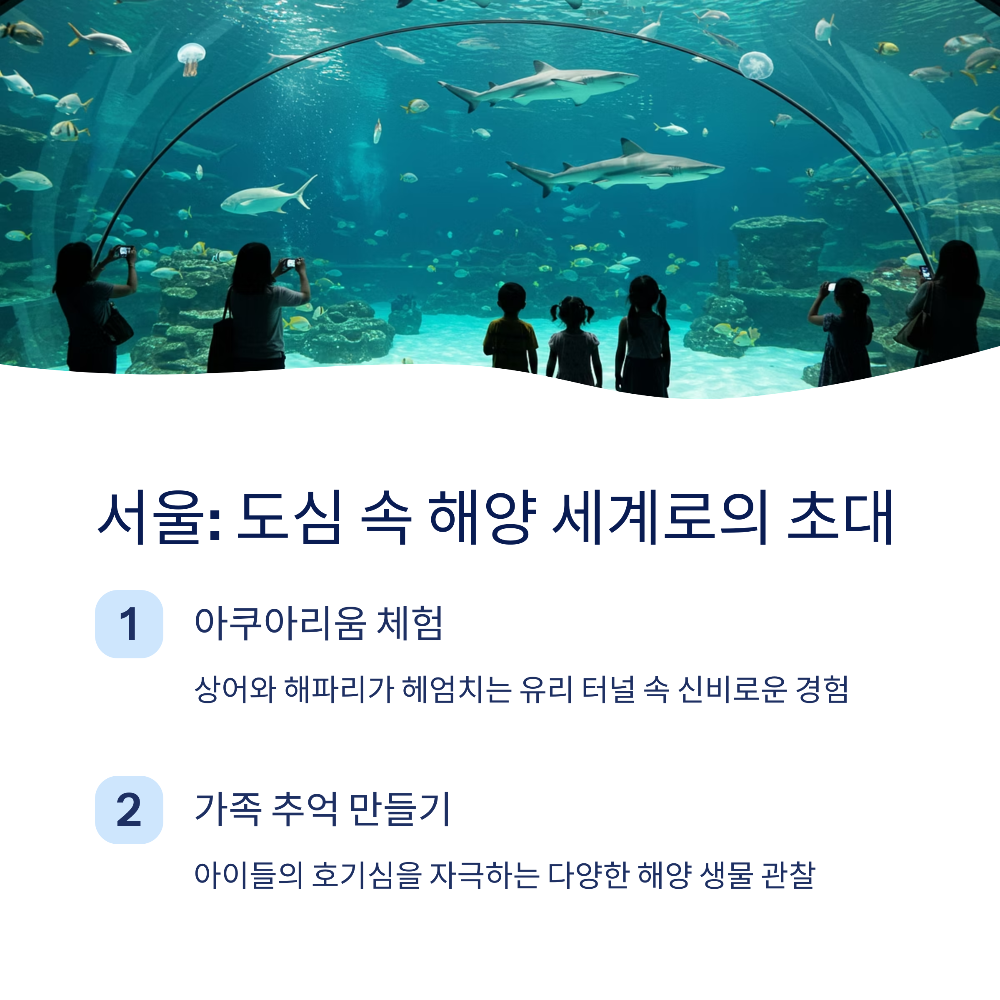 2025년 비 오는 날에도 즐길 수 있는 국내 실내 여행지 7선