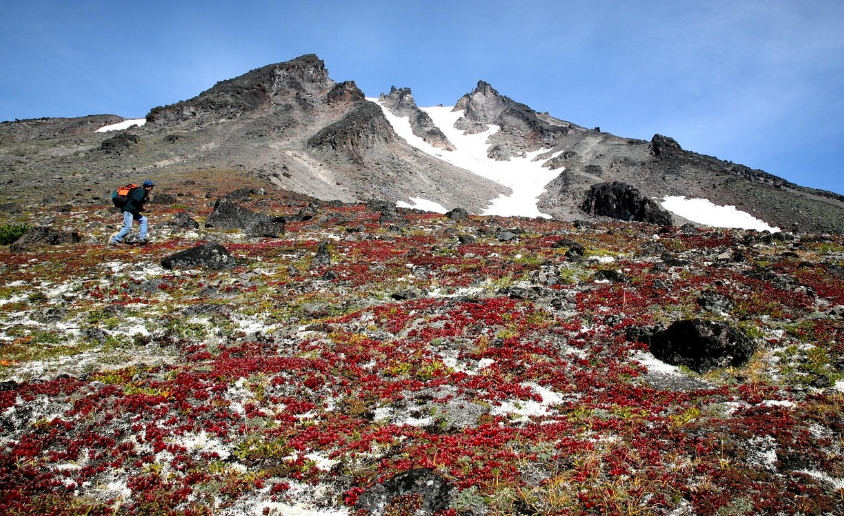 산행코스 추천 : 난이도, 전망, 추천지