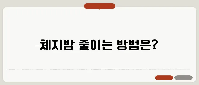체지방을 줄이는 최고의 다이어트 식단, 지금 시작해보세요!