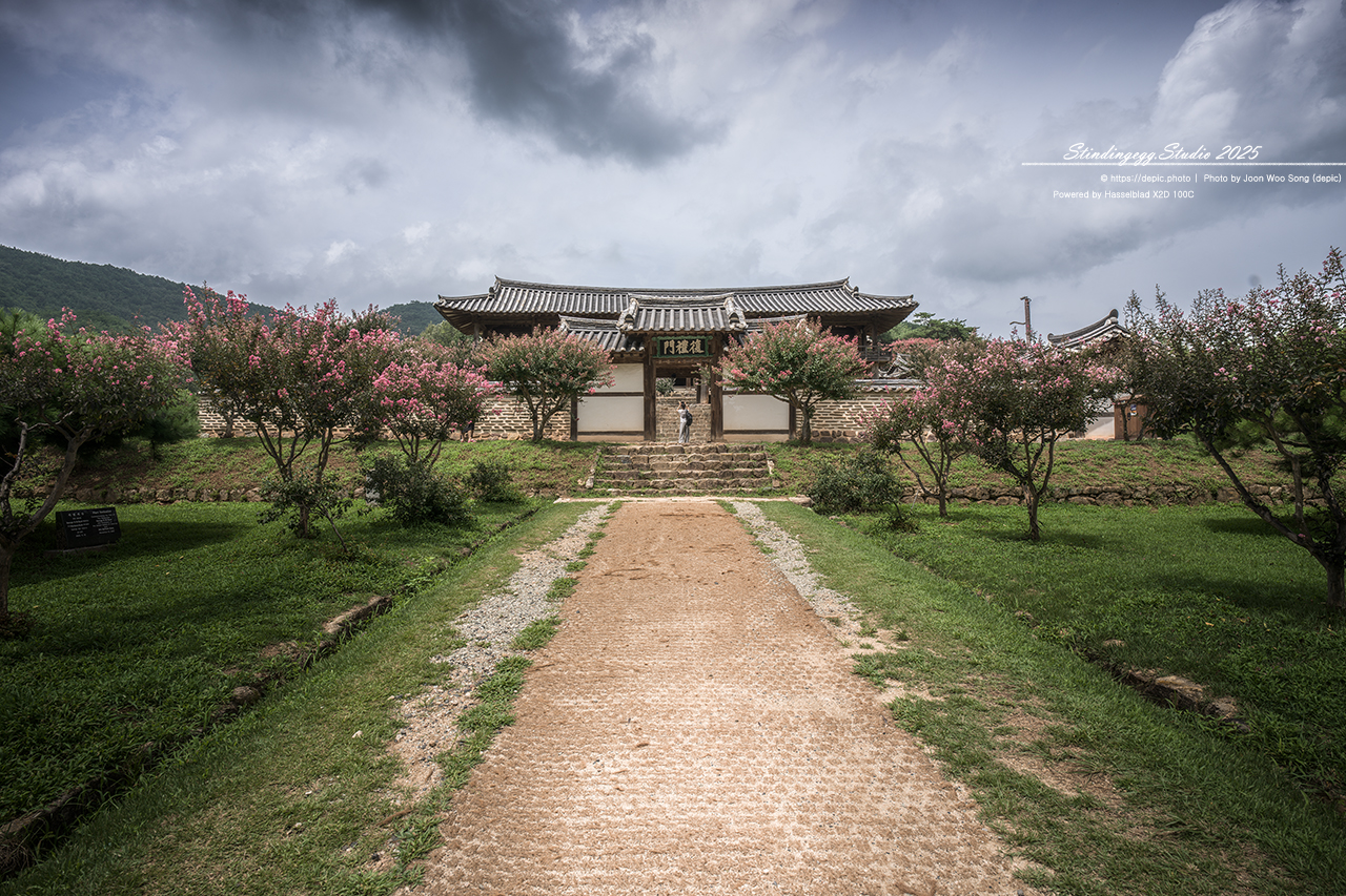 #안동 #서원 #유학 #병산서원 #배롱꽃