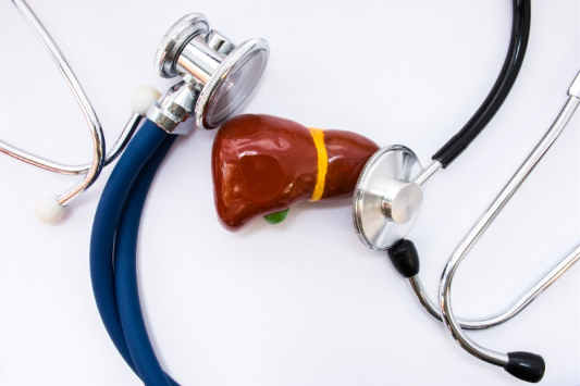 청진기와-간-사진