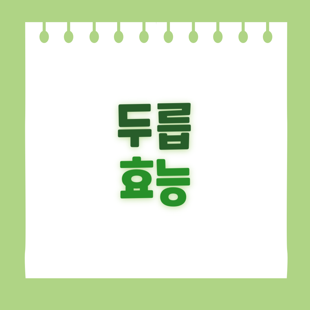 두릅 효능