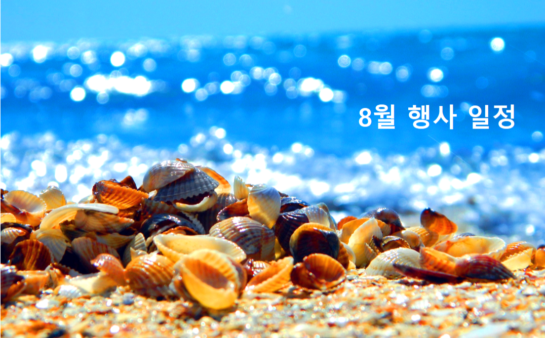 8월 행사