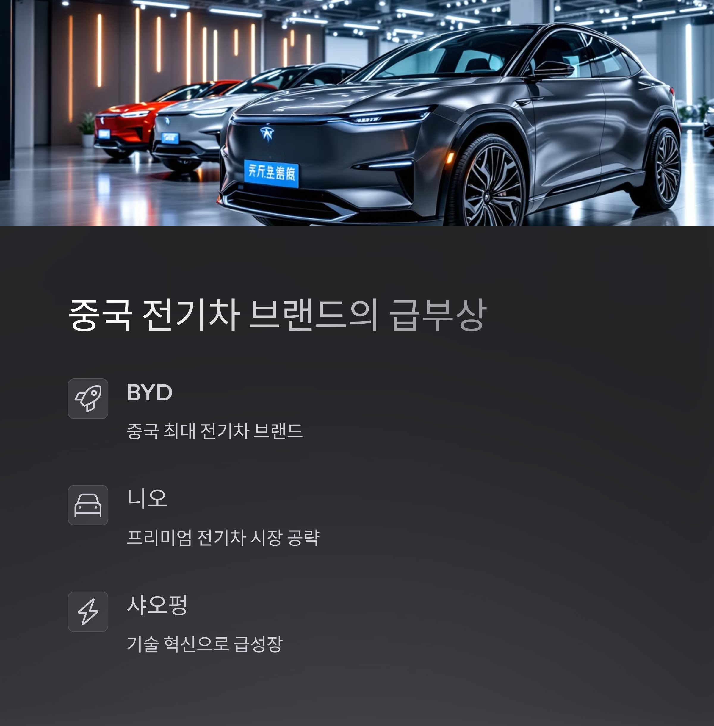 중국 전기차 브랜드의 급부상